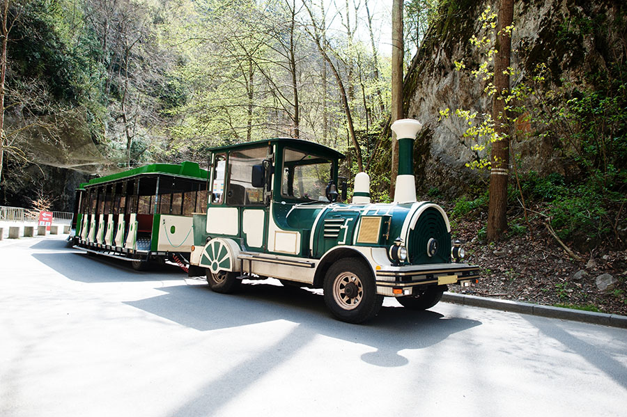 Petits trains à louer France